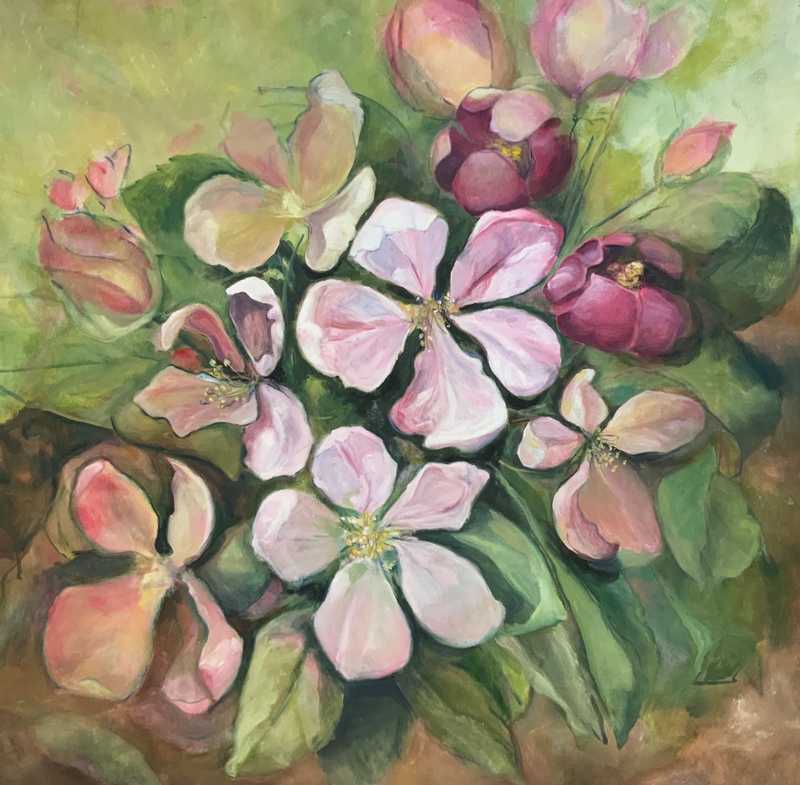 Apple Blossom